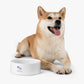 Dog Food Bowl