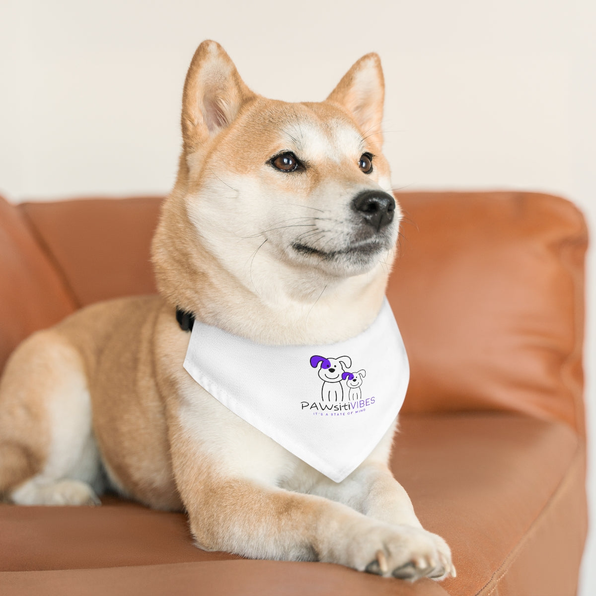 Pet Bandana Collar